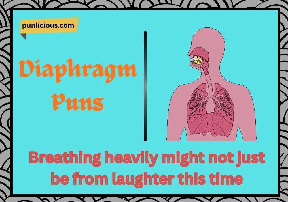 Diaphragm Puns Dirty