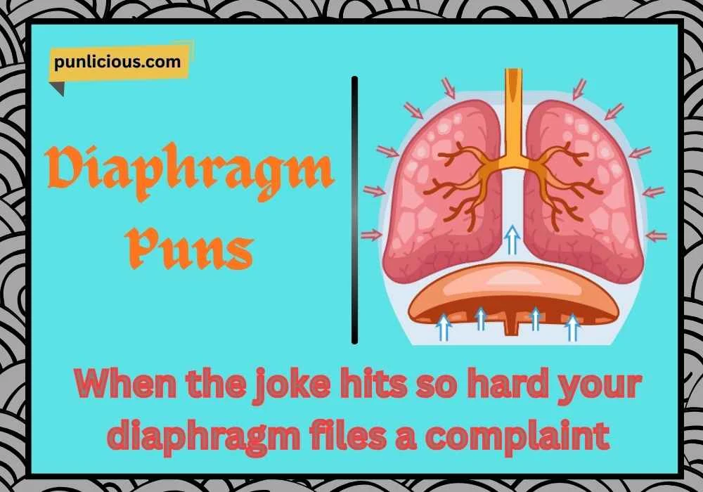Diaphragm Puns Reddit