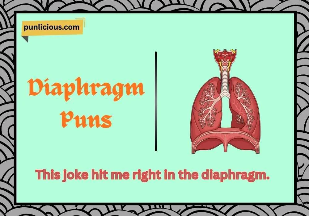 Diaphragm Puns