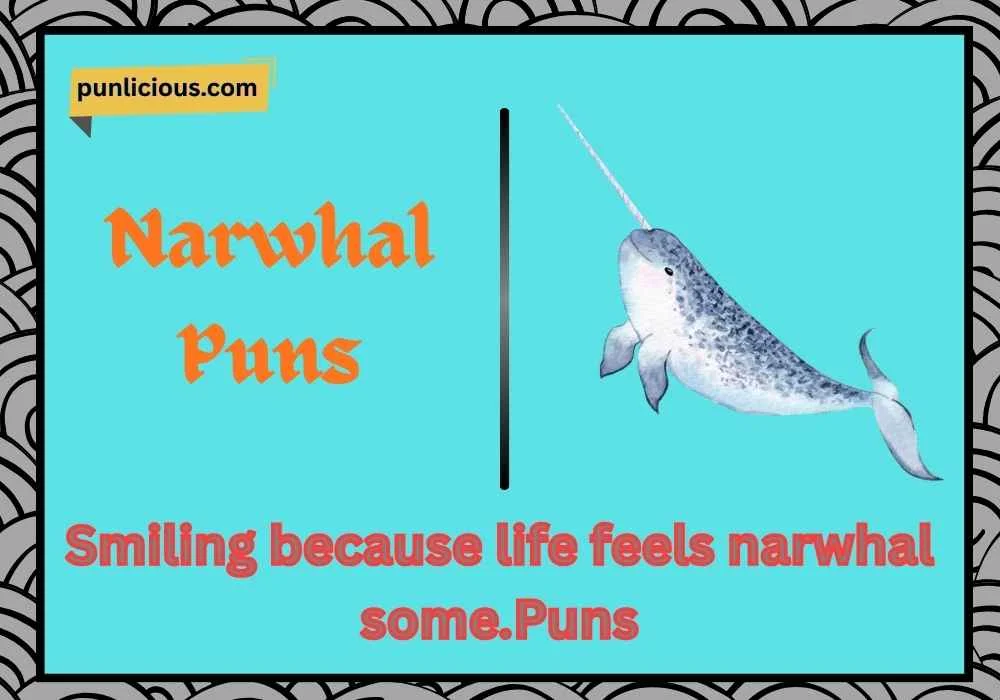 Funny Narwhal Puns Captions