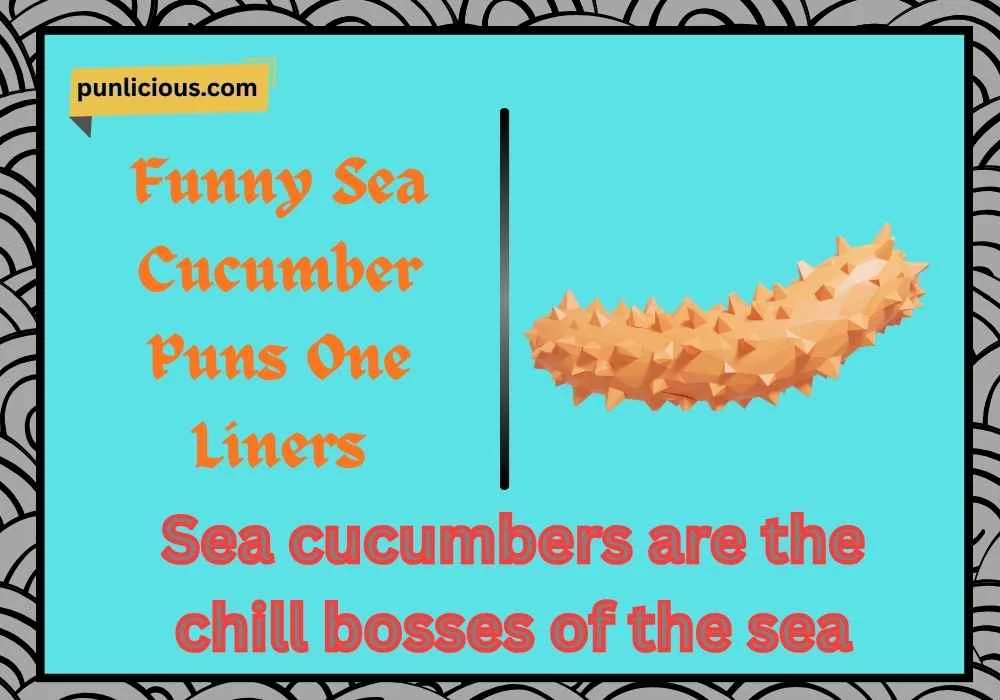 Funny Sea Cucumber Puns One Liners