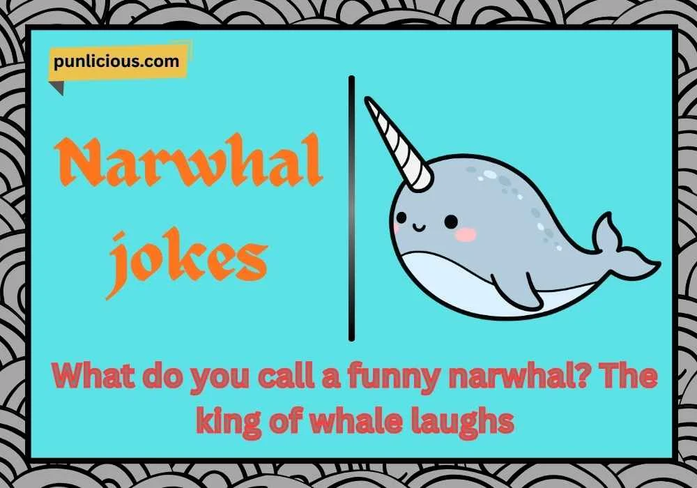 Narwhal jokes for kids