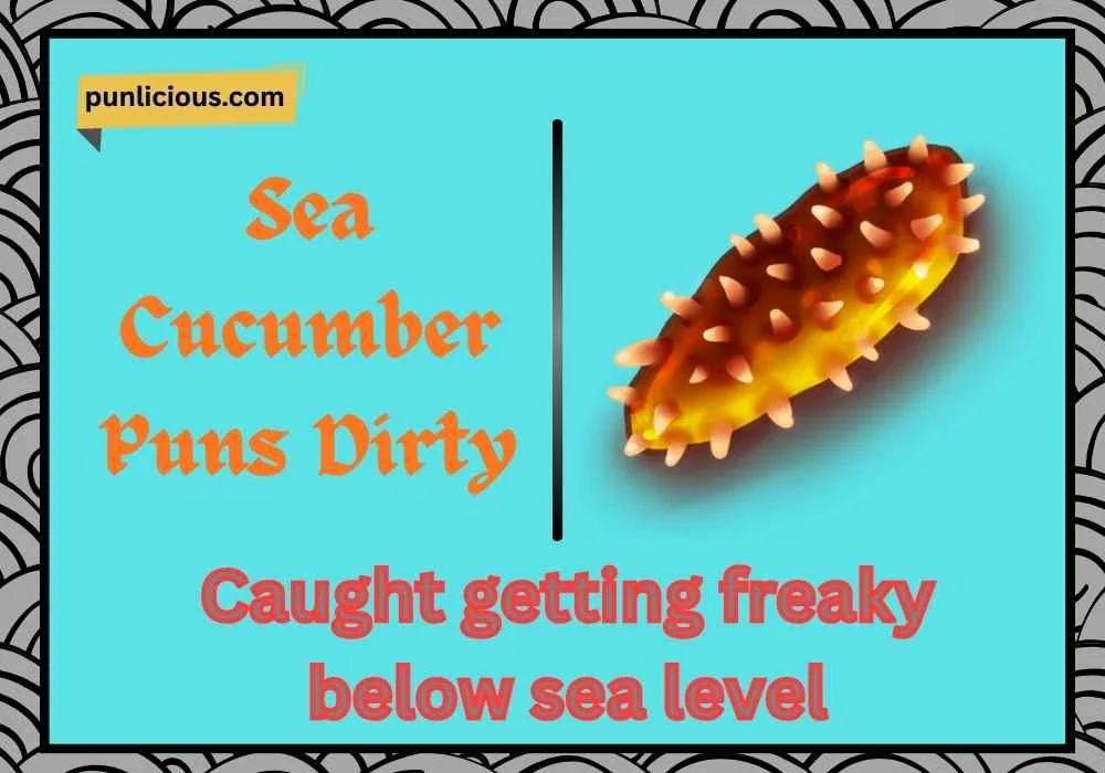 Sea Cucumber Puns Dirty