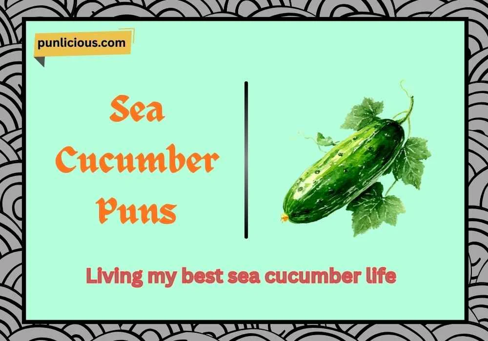 Sea Cucumber Puns