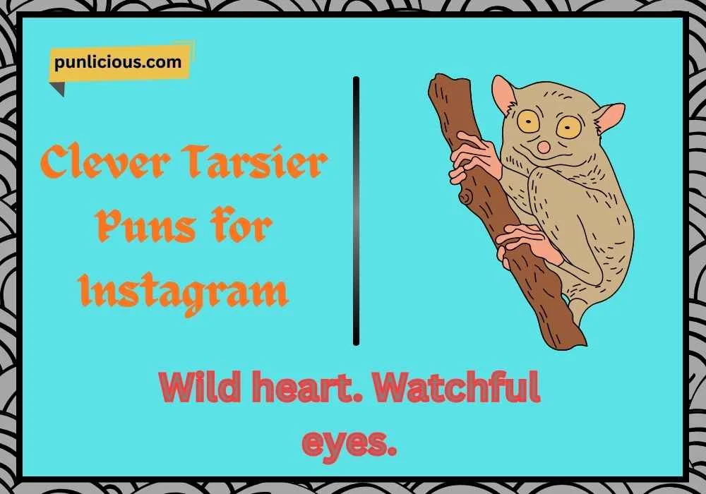 Clever Tarsier Puns for Instagram