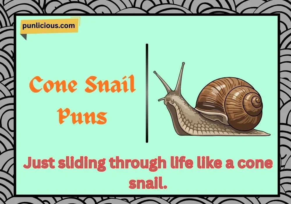 Cone Snail Puns