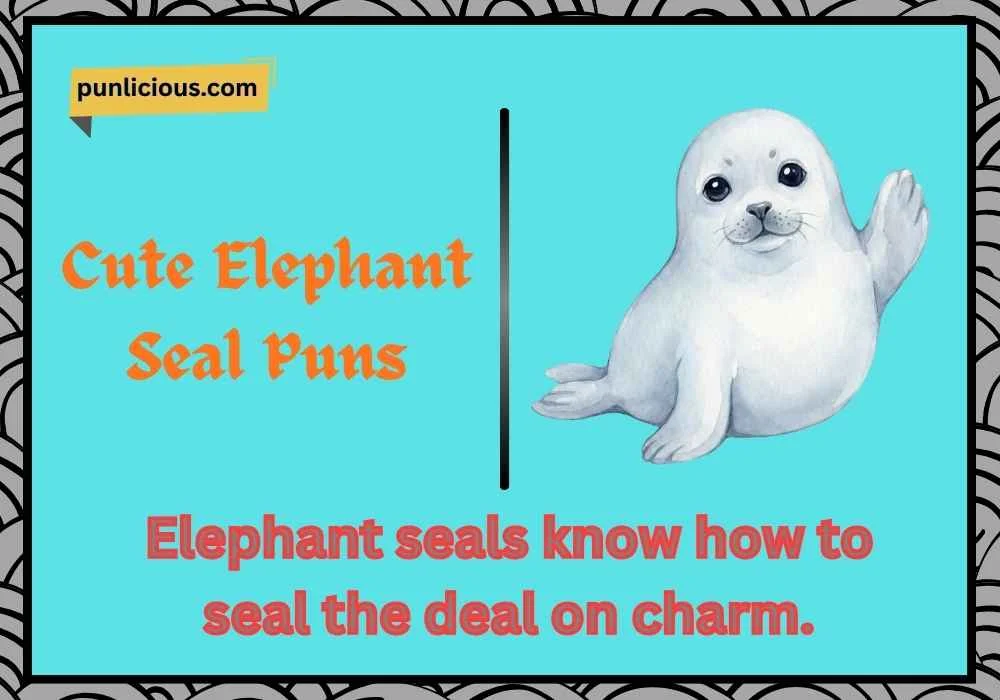 Cute Elephant Seal Puns