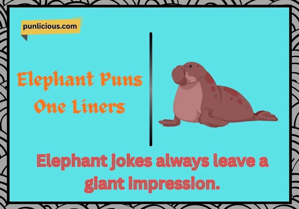 Elephant Seal Puns
