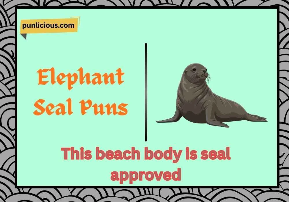 Elephant Seal Puns