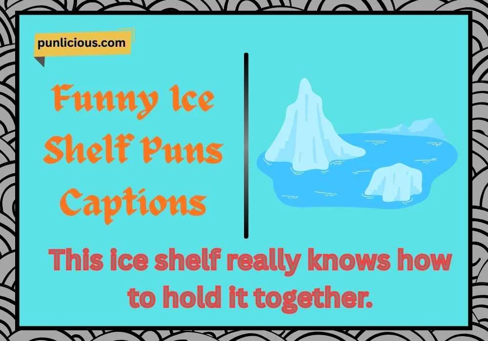 Funny Ice Shelf Puns Captions