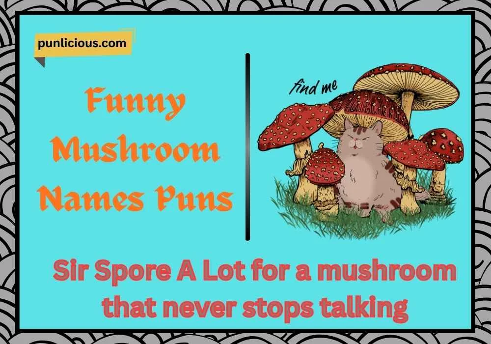 Funny Mushroom Names Puns