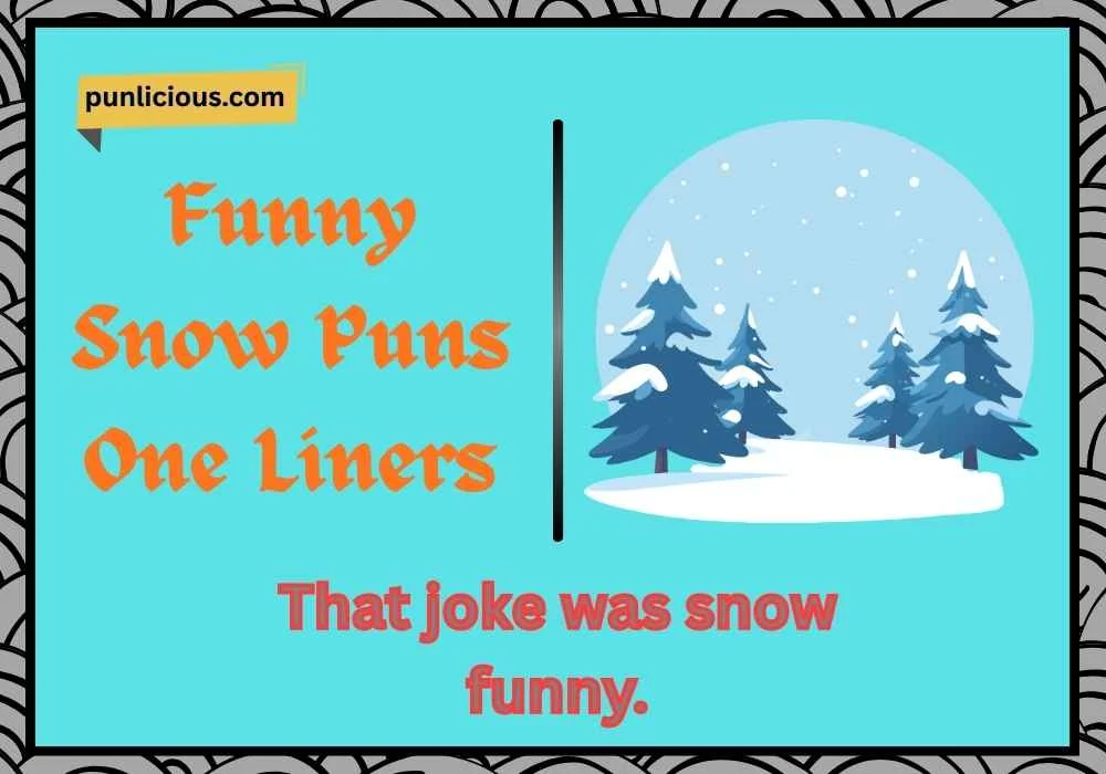 Funny Snow Puns One Liners