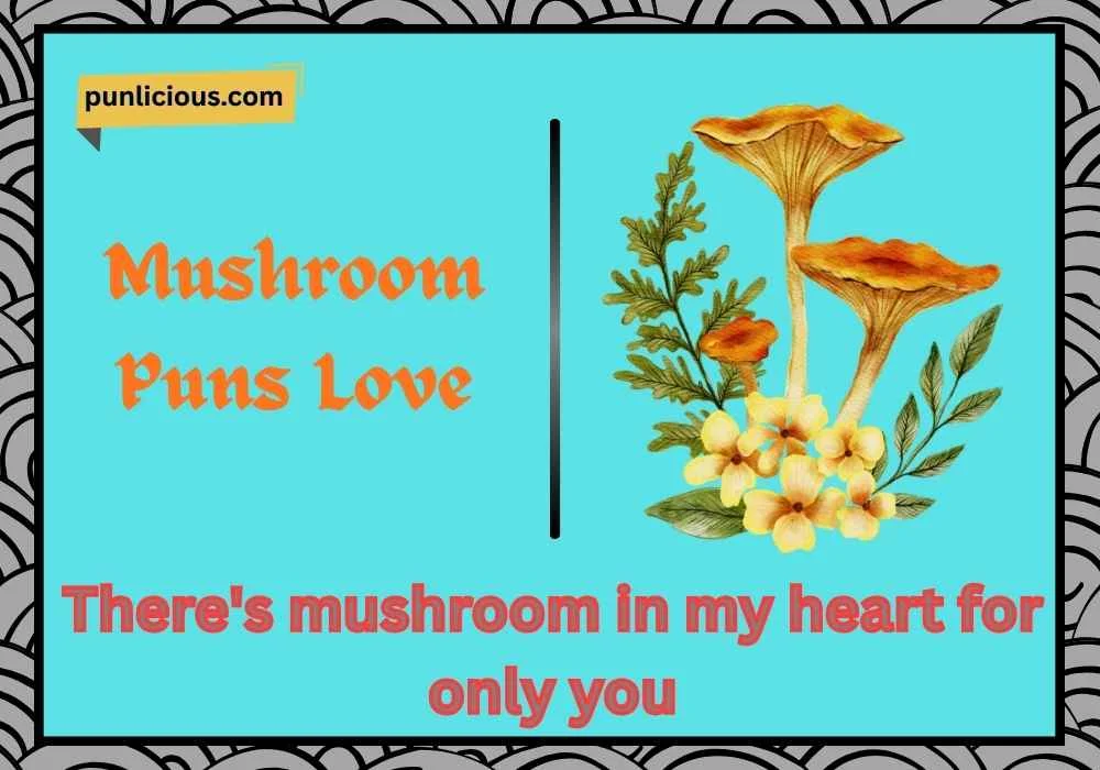 Mushroom Puns Love