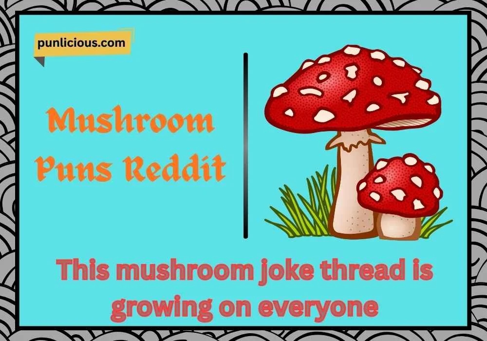 Mushroom Puns Reddit