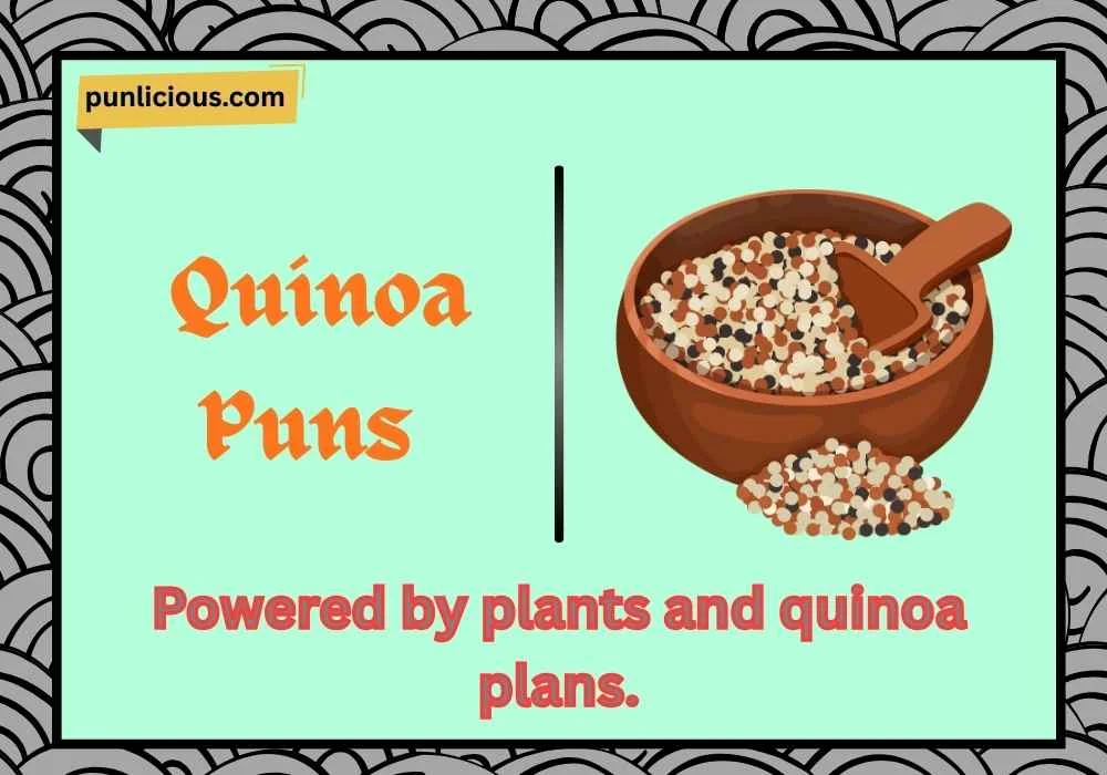 Quinoa Puns