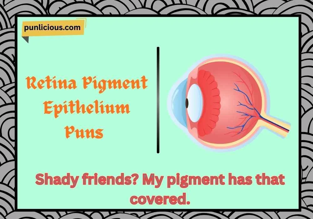 Retina Pigment Epithelium Puns