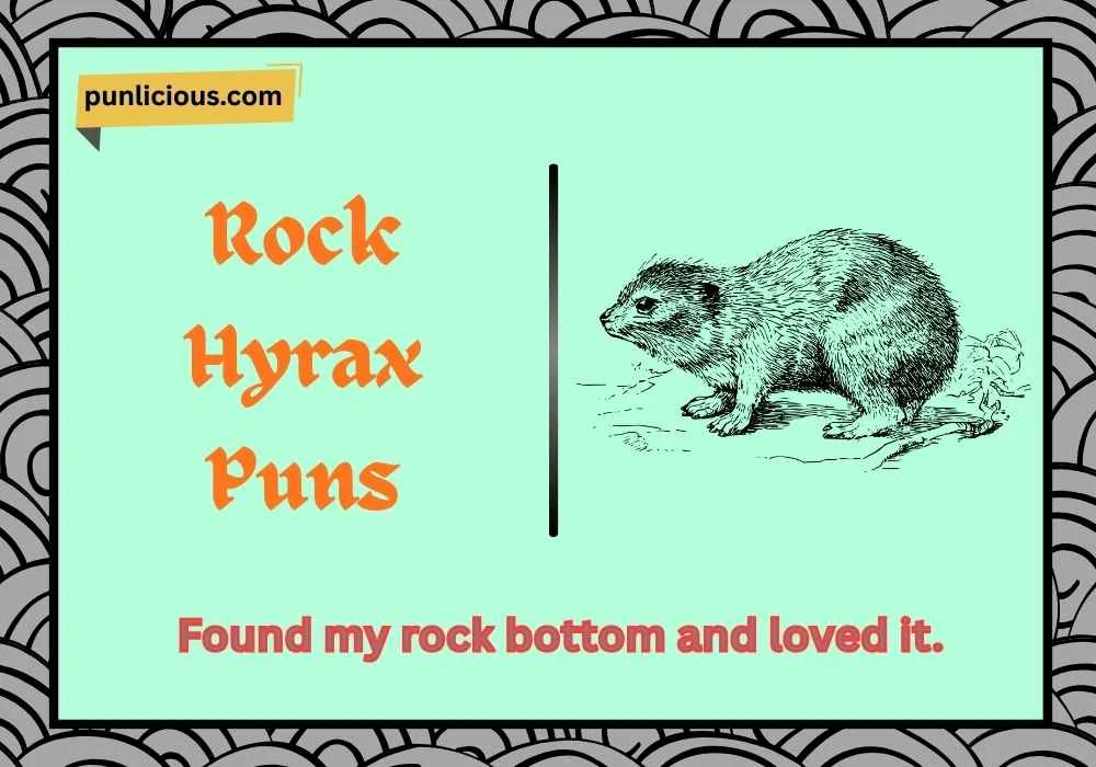 Rock Hyrax Puns