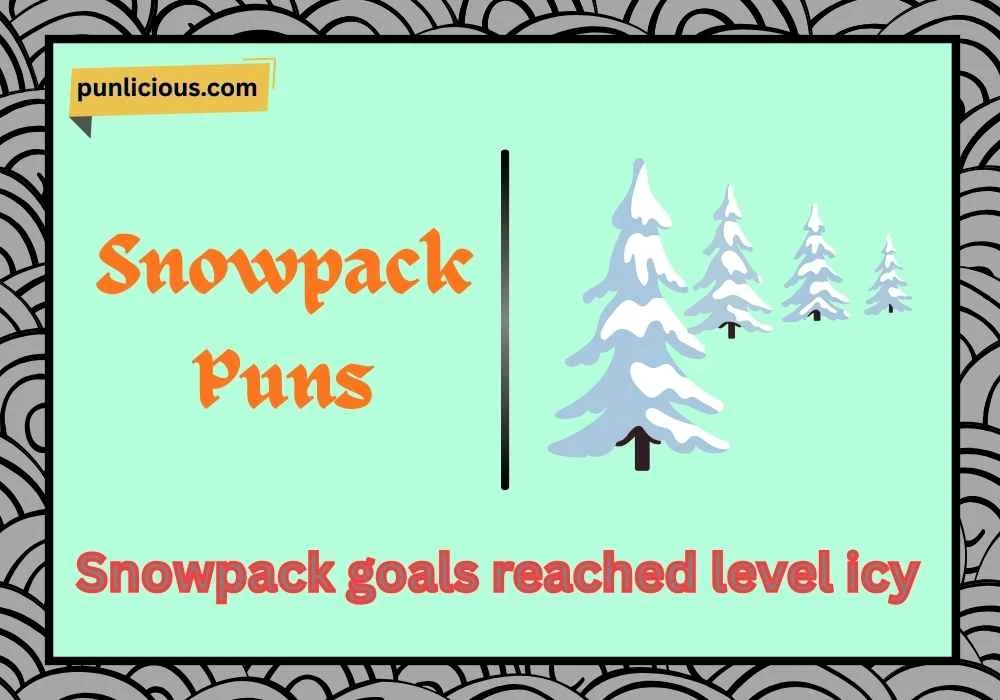 Snowpack Puns
