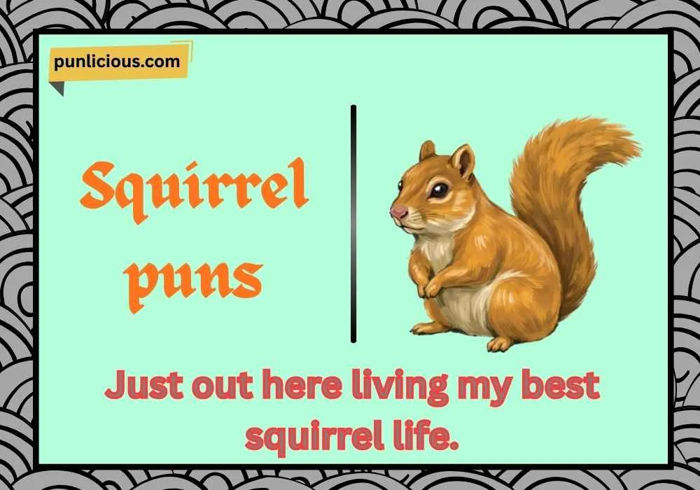 Squirrel puns
