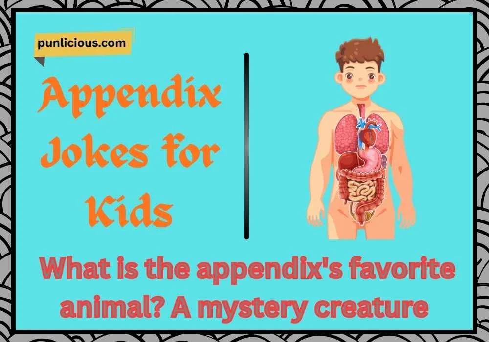 Appendix Jokes for Kids