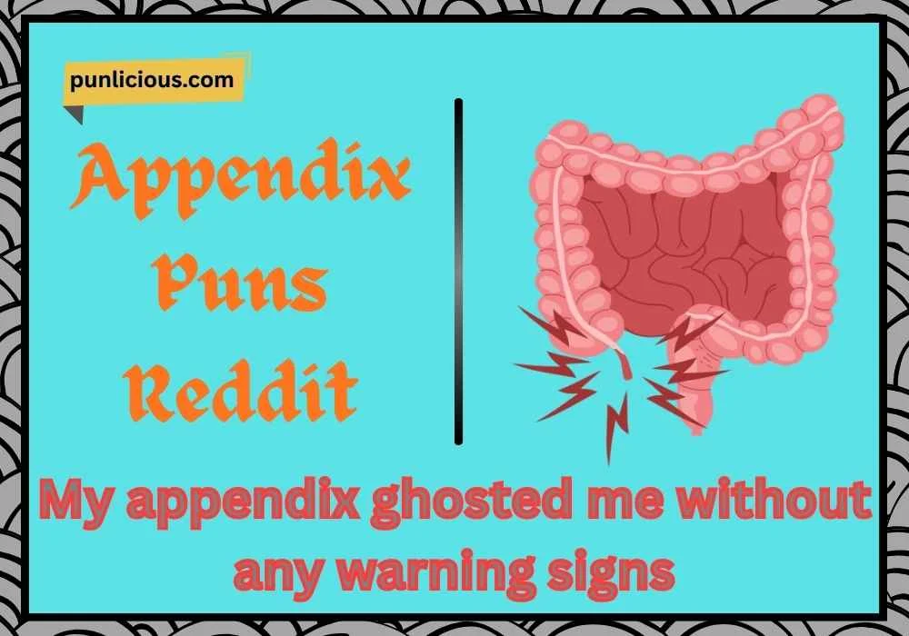 Appendix Puns Reddit