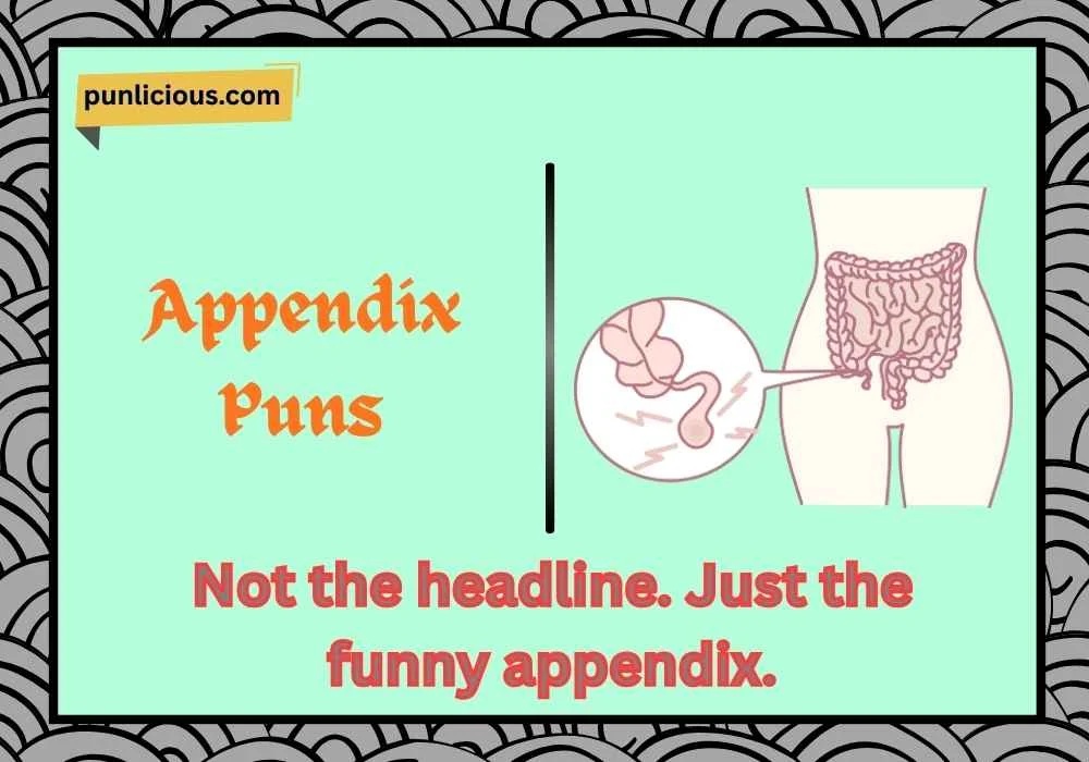Appendix Puns