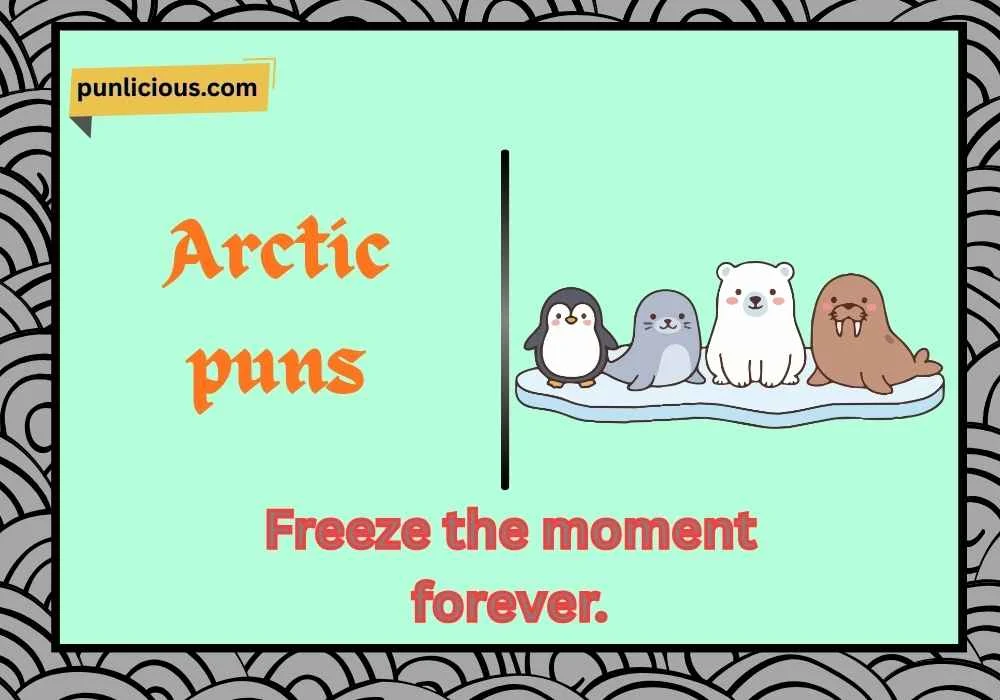 Arctic puns