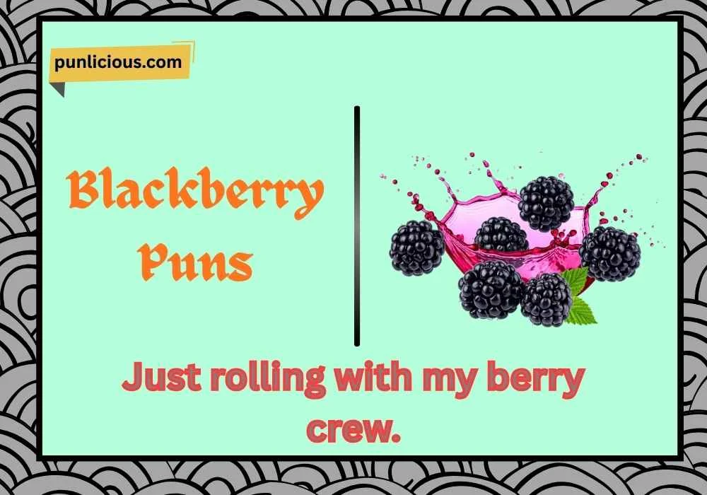 Blackberry Puns