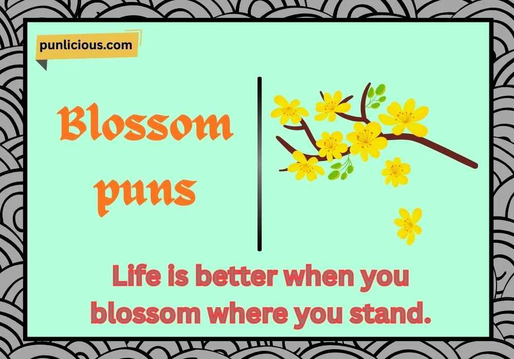 Blossom puns