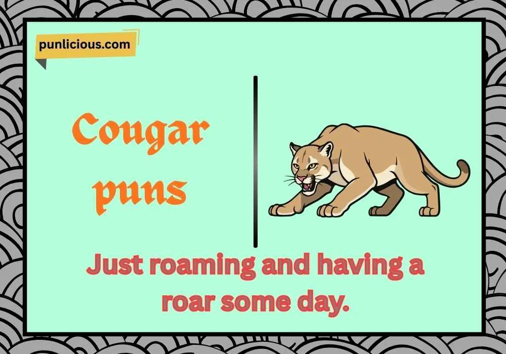 Cougar puns