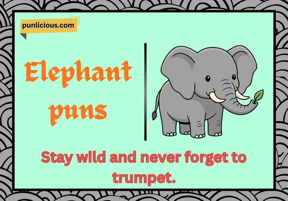 Elephant puns