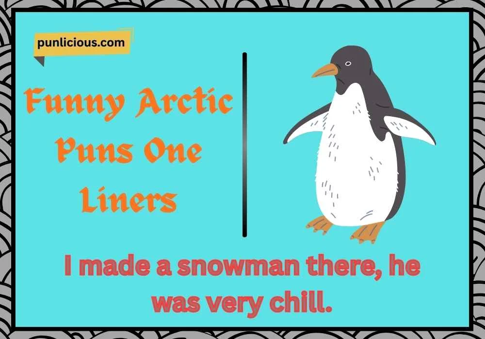 Funny Arctic Puns One Liners