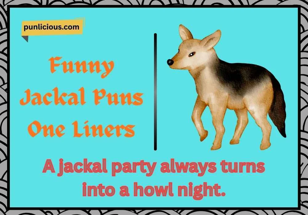 Funny Jackal Puns One Liners
