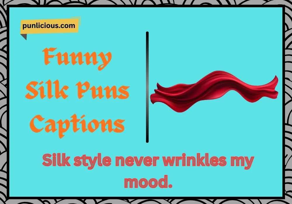 Funny Silk Puns Captions