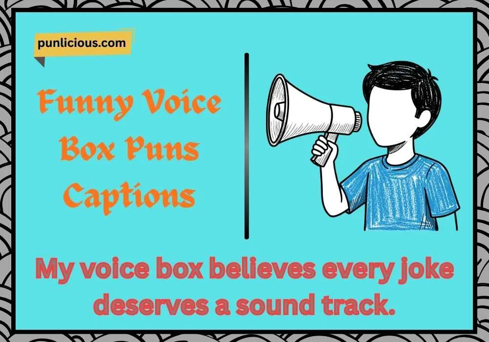 Funny Voice Box Puns Captions