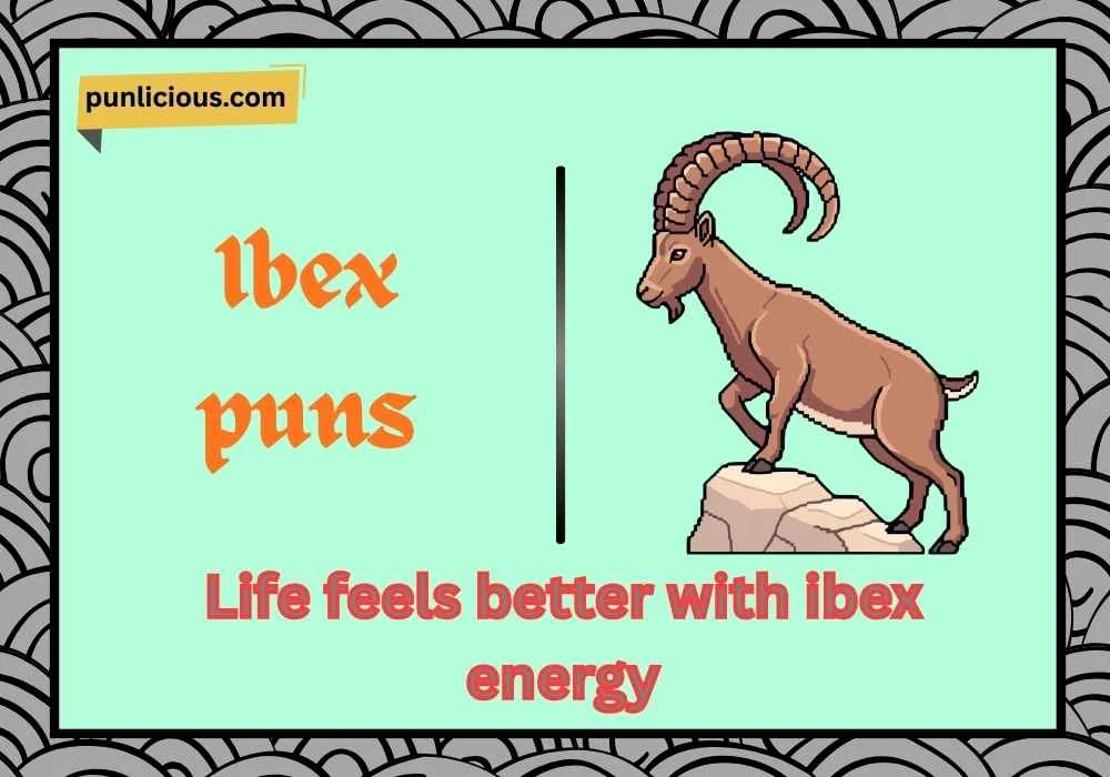 Ibex puns