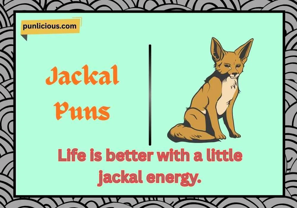 Jackal Puns