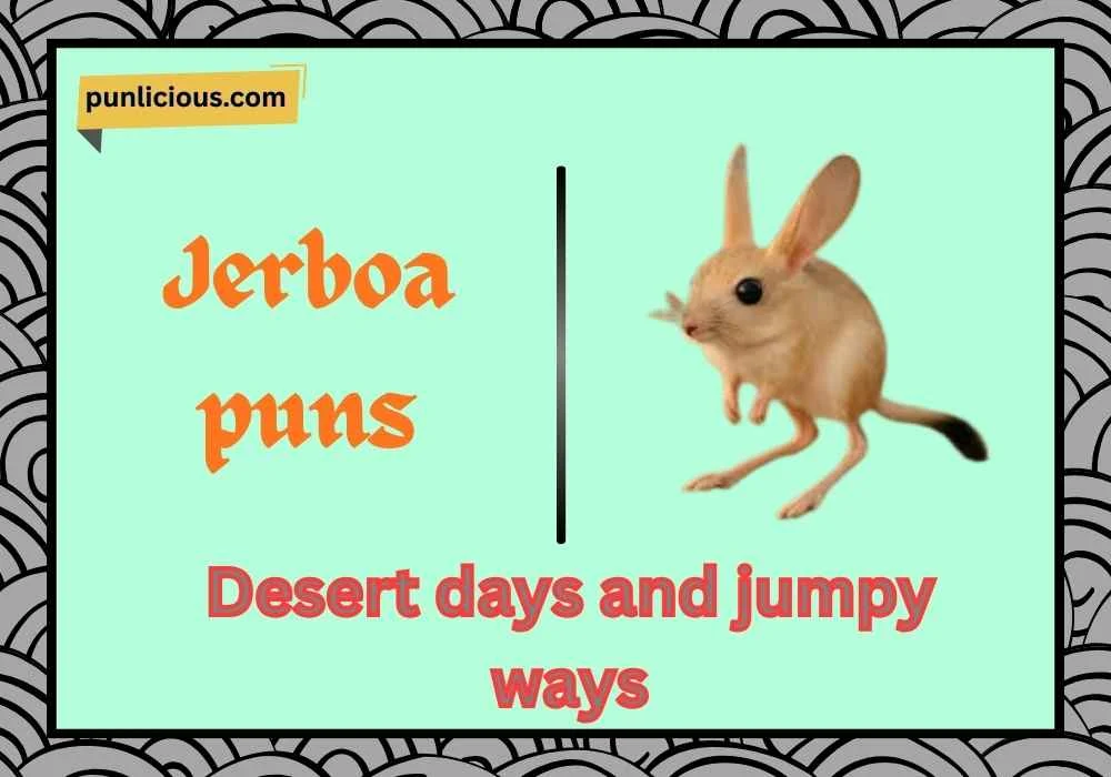 Jerboa puns