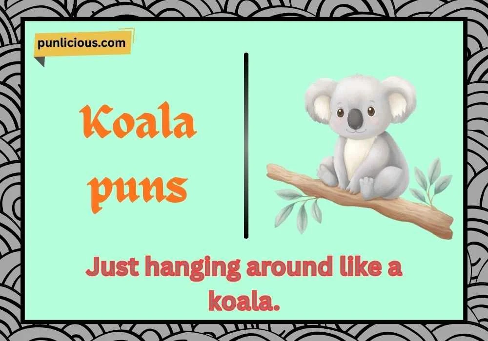 Koala puns
