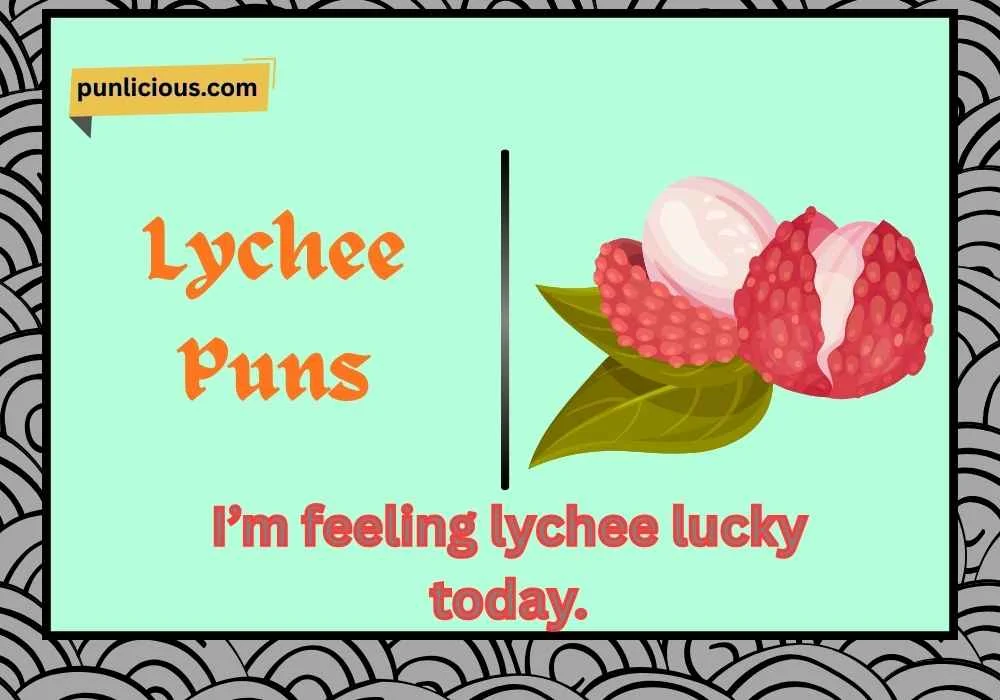 Lychee Puns