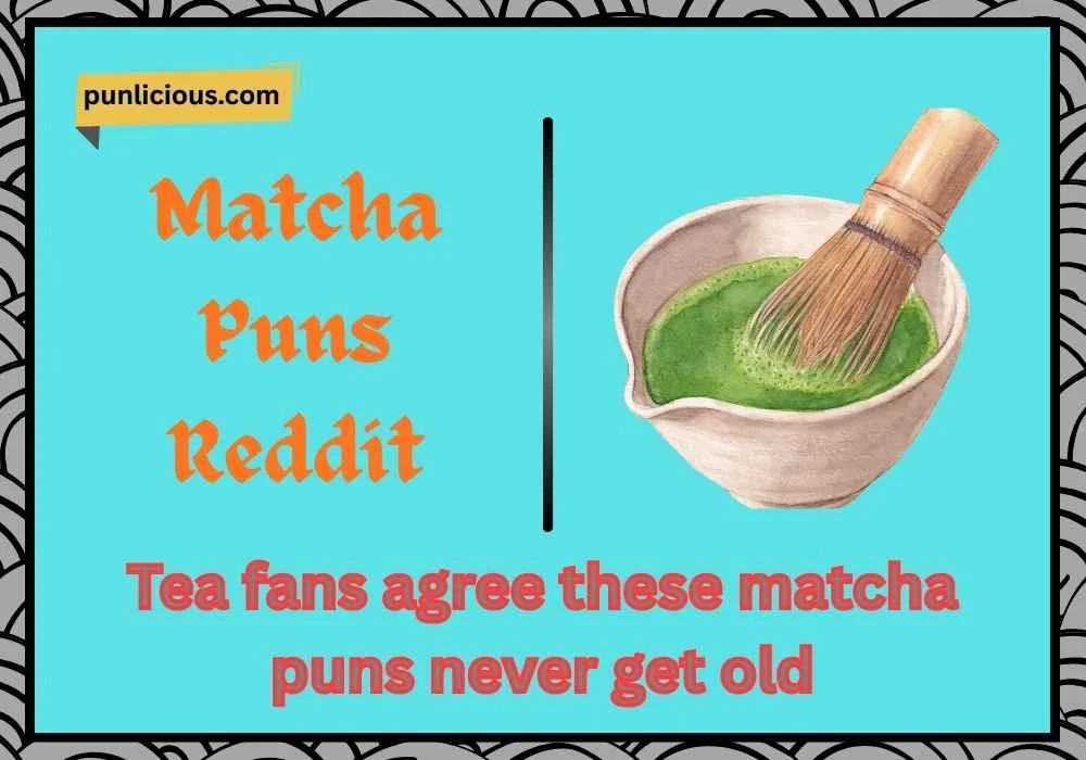 Matcha Puns Reddit