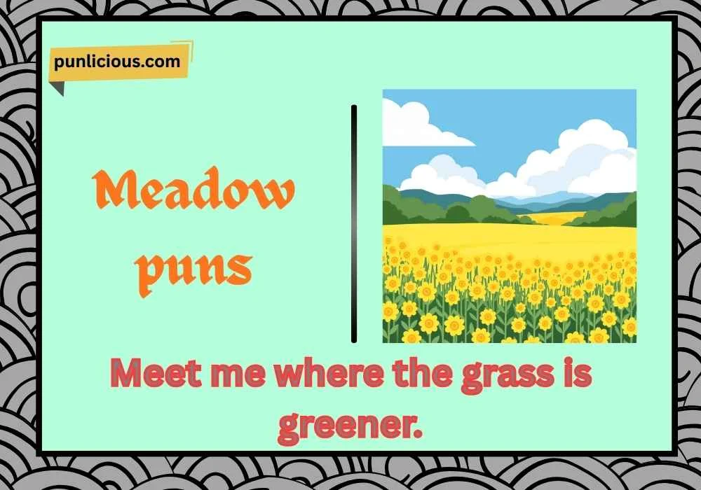 Meadow puns