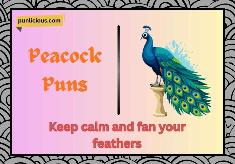 Peacock Puns