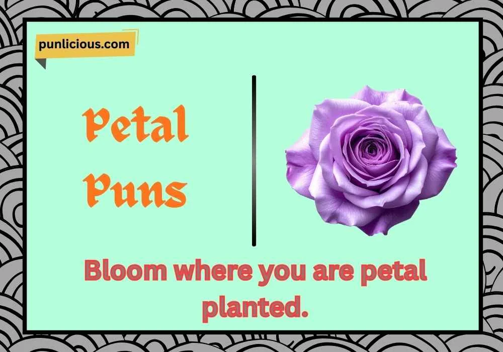 Petal Puns