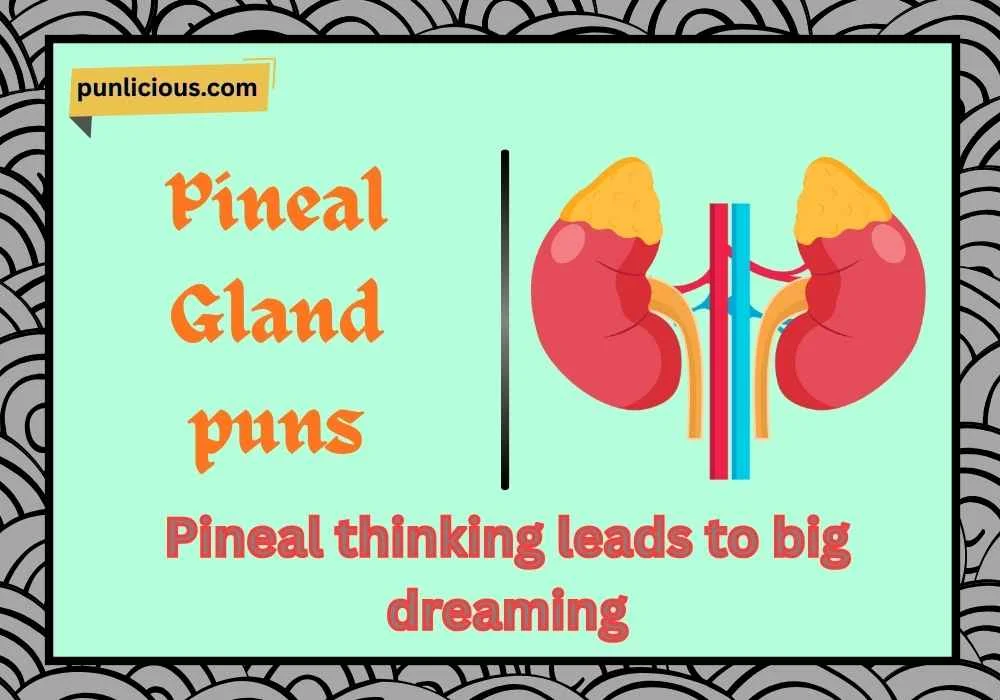 Pineal Gland puns