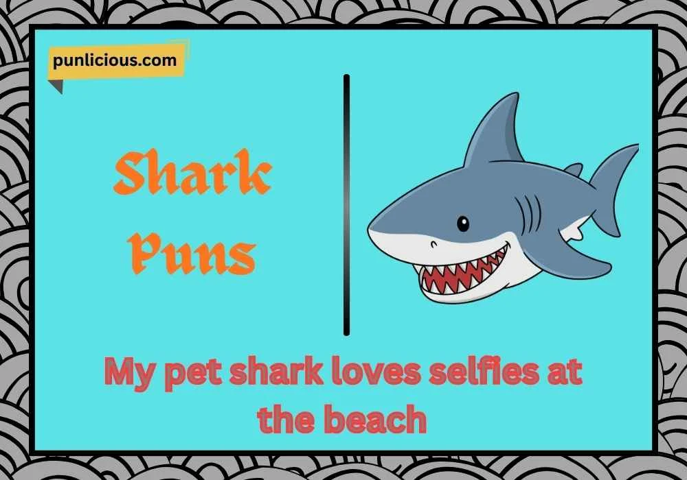 shark puns