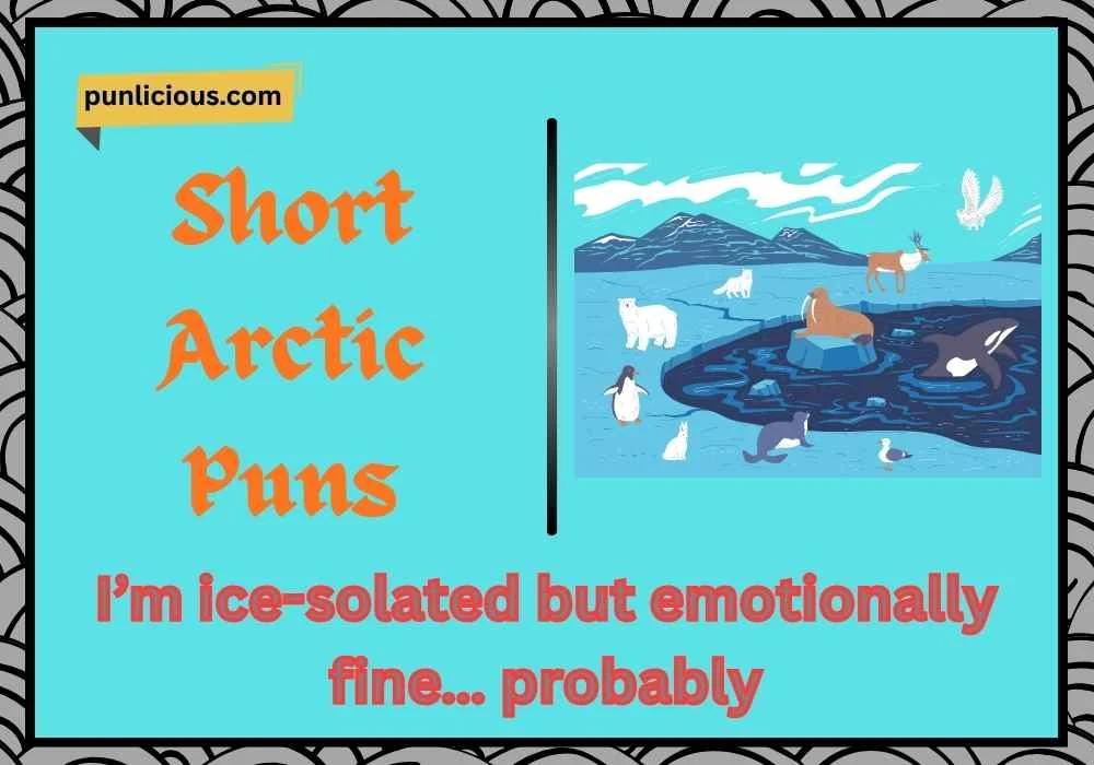 Short Arctic Puns