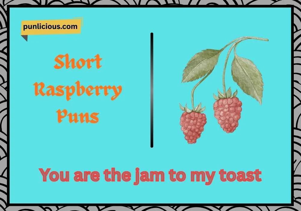 Short Raspberry Puns