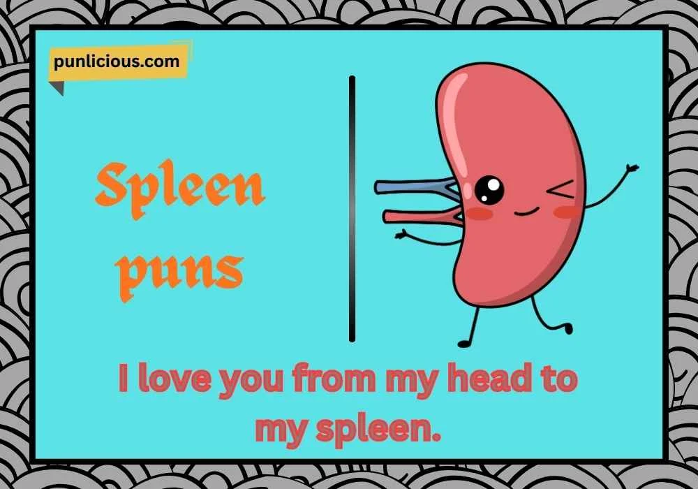 spleen puns