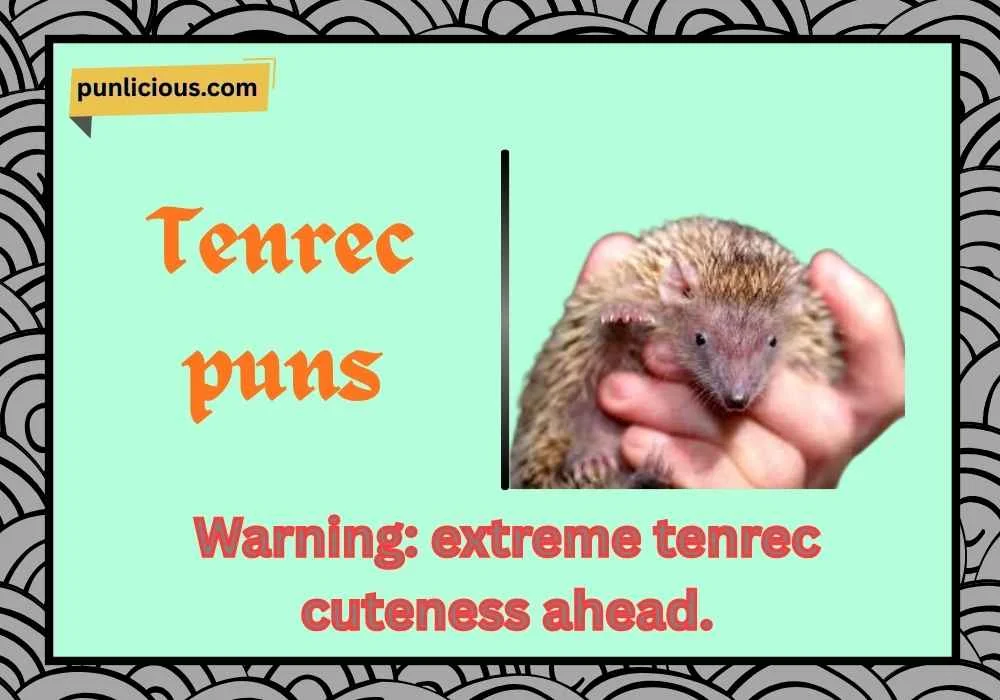 Tenrec puns